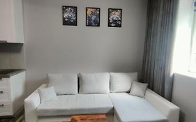721 Slate Apartament Jedlina-Zdrój